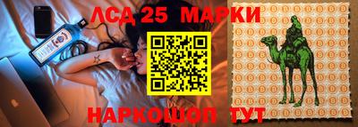 мдпв Будённовск