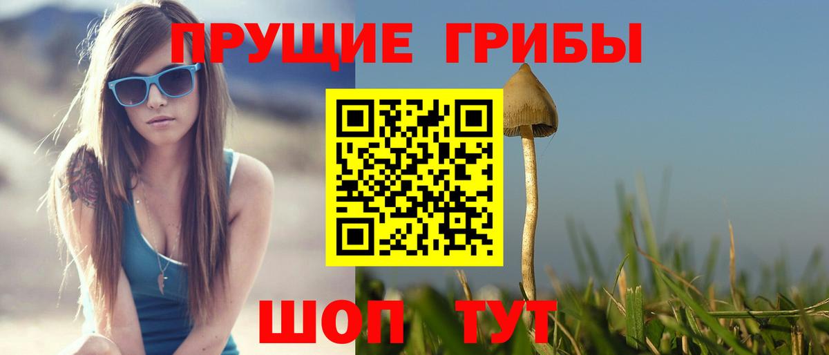 Новокуйбышевск  как найти закладки  Вход с VPN  Галлюциногенные грибы MAGIC MUSHROOMS 